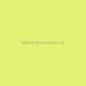 Bodaq Uni s166 | Bestellen bij https://www.kleurmijninterieur.nl/