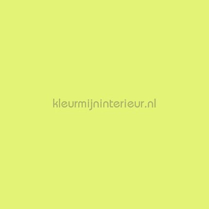 Bodaq Uni s166 | Bestellen bij https://www.kleurmijninterieur.nl/