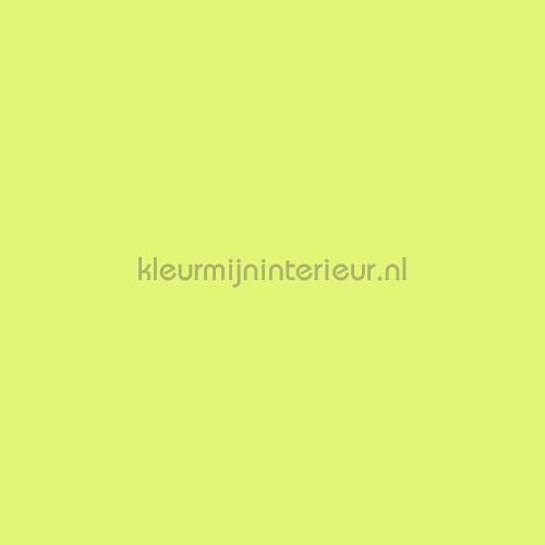 Bodaq Uni s166 | Bestellen bij https://www.kleurmijninterieur.nl/