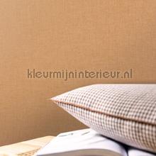 Caselio XXL XXL103222120 | Bestellen bij https://www.kleurmijninterieur.nl/