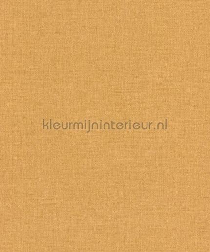 Caselio XXL XXL103222440 | Bestellen bij https://www.kleurmijninterieur.nl/