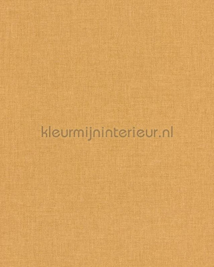 Caselio XXL XXL103222440 | Bestellen bij https://www.kleurmijninterieur.nl/