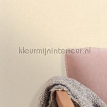 Caselio XXL XXL103221600 | Bestellen bij https://www.kleurmijninterieur.nl/
