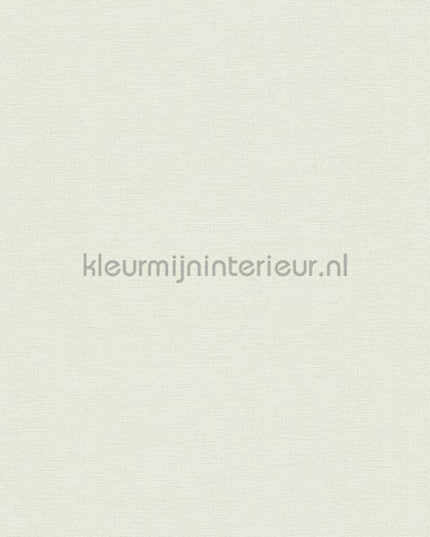 AS Creation Colorful World 30688-2 | Bestellen bij https://www.kleurmijninterieur.nl/