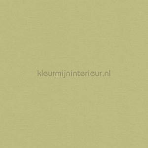 AS Creation Colorful World 39097-4 | Bestellen bij https://www.kleurmijninterieur.nl/