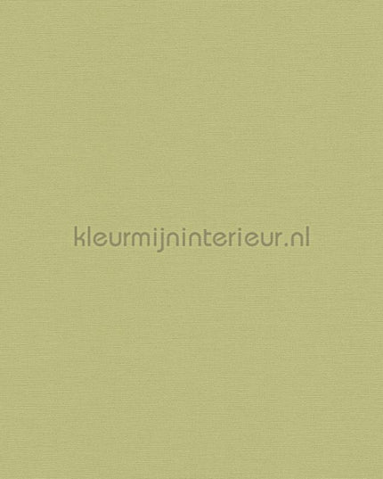 AS Creation Colorful World 39097-4 | Bestellen bij https://www.kleurmijninterieur.nl/