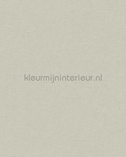 AS Creation Colorful World 37178-2 | Bestellen bij https://www.kleurmijninterieur.nl/