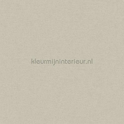 AS Creation Ethnic Origin 371782 | Bestellen bij https://www.kleurmijninterieur.nl/