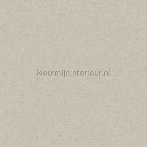 AS Creation Ethnic Origin 371782 | Bestellen bij https://www.kleurmijninterieur.nl/