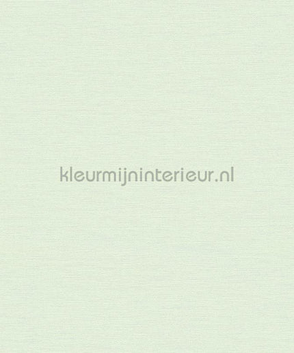 AS Creation Colorful World 38903-4 | Bestellen bij https://www.kleurmijninterieur.nl/