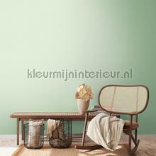 AS Creation Colorful World 38903-4 | Bestellen bij https://www.kleurmijninterieur.nl/