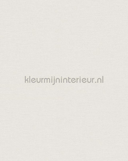 AS Creation Colorful World 38904-3 | Bestellen bij https://www.kleurmijninterieur.nl/