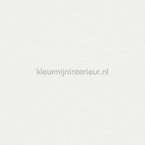 AS Creation Colorful World 38903-3 | Bestellen bij https://www.kleurmijninterieur.nl/