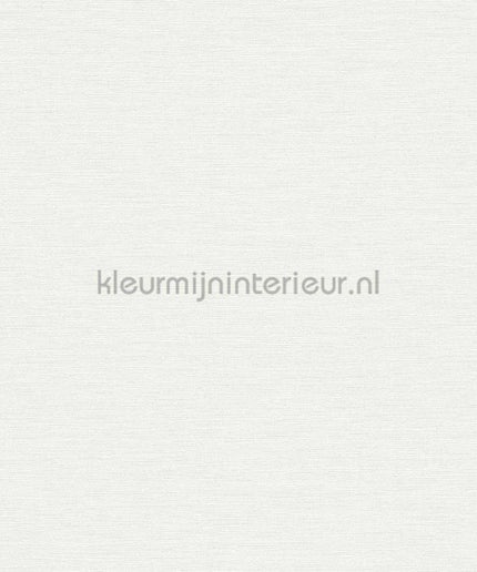 AS Creation Colorful World 38903-3 | Bestellen bij https://www.kleurmijninterieur.nl/