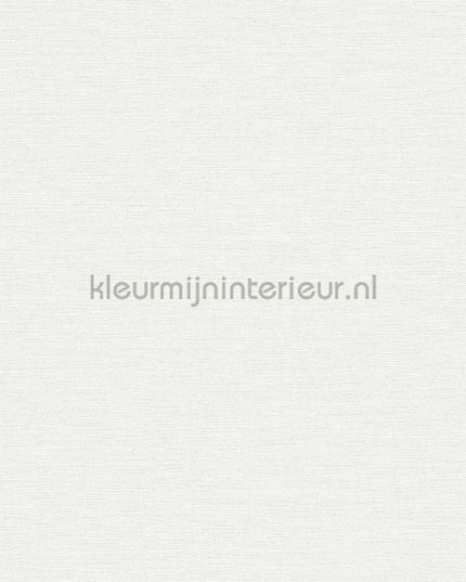 AS Creation Colorful World 38903-3 | Bestellen bij https://www.kleurmijninterieur.nl/