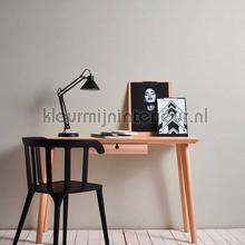 AS Creation Ethnic Origin 306889 | Bestellen bij https://www.kleurmijninterieur.nl/
