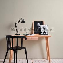AS Creation Ethnic Origin 306881 | Bestellen bij https://www.kleurmijninterieur.nl/