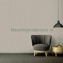 AS Creation Ethnic Origin 306894 | Bestellen bij https://www.kleurmijninterieur.nl/