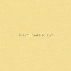 AS Creation Colorful World 38903-6 | Bestellen bij https://www.kleurmijninterieur.nl/