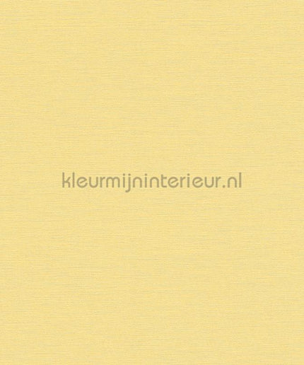 AS Creation Colorful World 38903-6 | Bestellen bij https://www.kleurmijninterieur.nl/