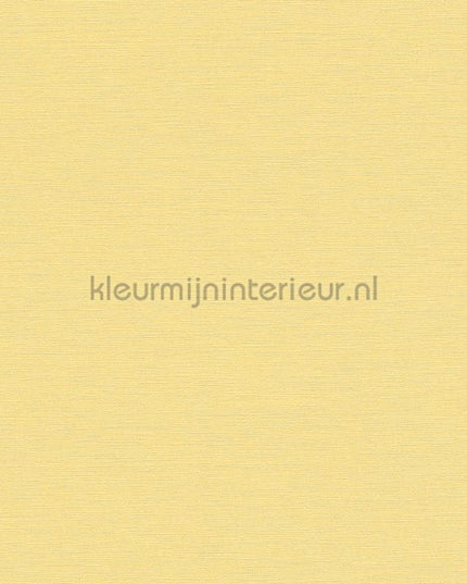 AS Creation Colorful World 38903-6 | Bestellen bij https://www.kleurmijninterieur.nl/