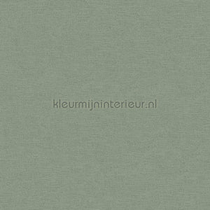 AS Creation Colorful World 37178-7 | Bestellen bij https://www.kleurmijninterieur.nl/
