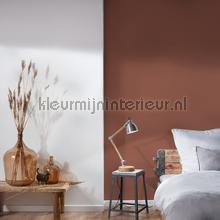AS Creation Colorful World 39097-8 | Bestellen bij https://www.kleurmijninterieur.nl/