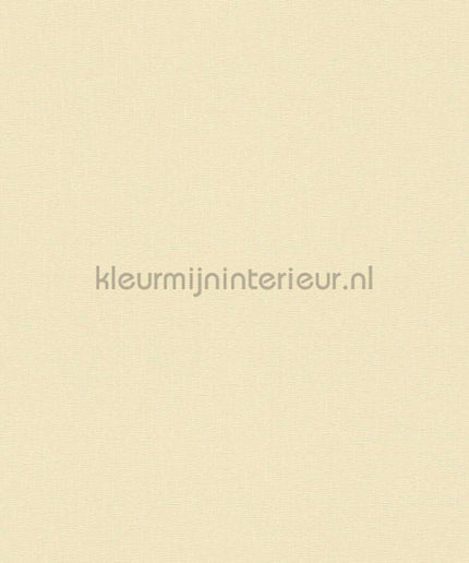 Versace wallpaper Versace 5 383843 | Bestellen bij https://www.kleurmijninterieur.nl/