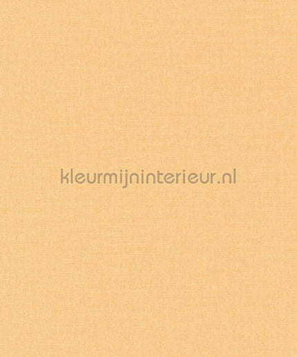 Caselio XXL XXL68523115 | Bestellen bij https://www.kleurmijninterieur.nl/