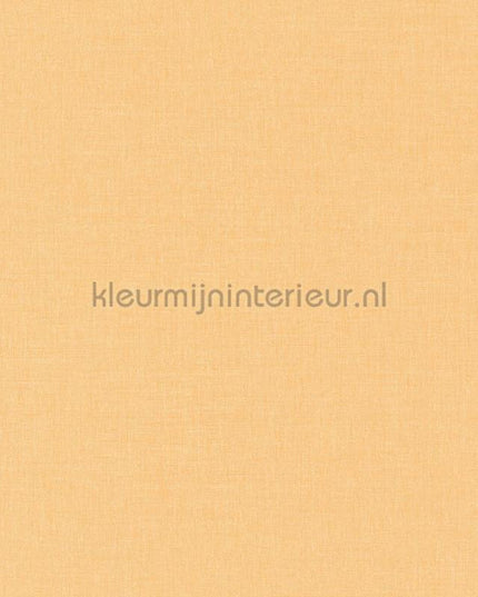 Caselio XXL XXL68523115 | Bestellen bij https://www.kleurmijninterieur.nl/