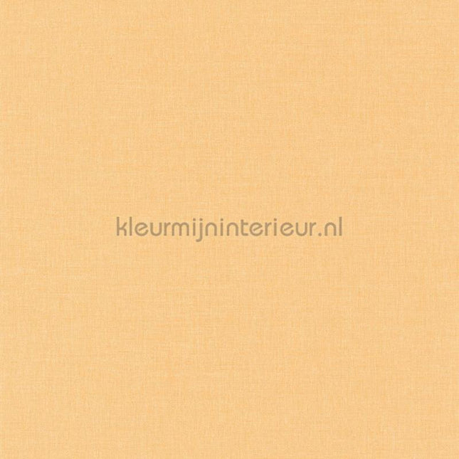 Caselio XXL XXL68523115 | Bestellen bij https://www.kleurmijninterieur.nl/
