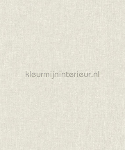 Hookedonwalls Neutralizer 01 31602 | Bestellen bij https://www.kleurmijninterieur.nl/