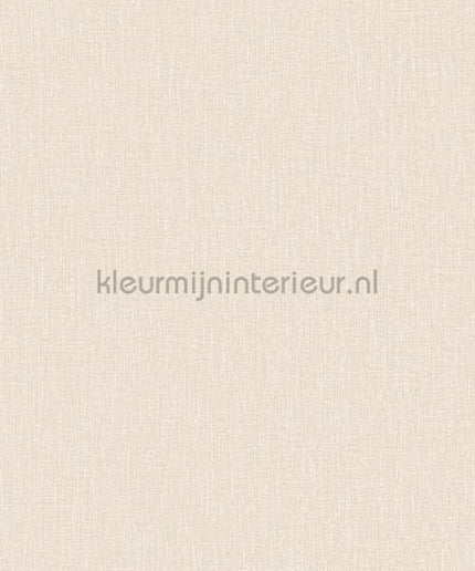 Hookedonwalls Neutralizer 01 31618 | Bestellen bij https://www.kleurmijninterieur.nl/