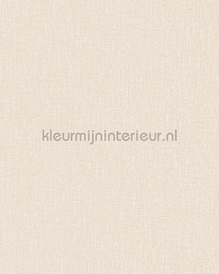 Hookedonwalls Neutralizer 01 31618 | Bestellen bij https://www.kleurmijninterieur.nl/