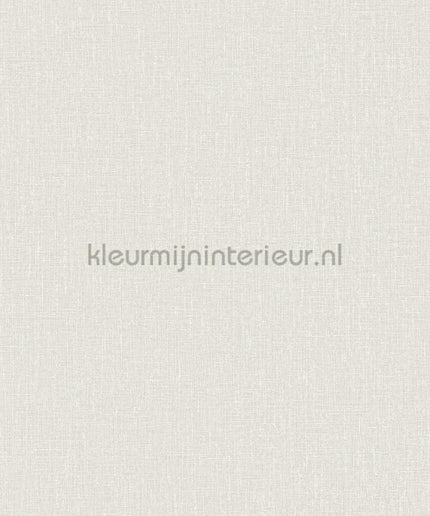 Hookedonwalls Neutralizer 01 31604 | Bestellen bij https://www.kleurmijninterieur.nl/