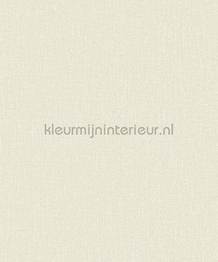 Hookedonwalls Neutralizer 01 31603 | Bestellen bij https://www.kleurmijninterieur.nl/