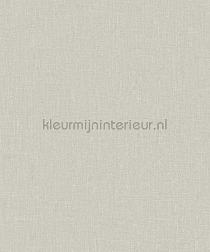 Hookedonwalls Neutralizer 01 31608 | Bestellen bij https://www.kleurmijninterieur.nl/