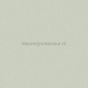 Hookedonwalls Neutralizer 01 31632 | Bestellen bij https://www.kleurmijninterieur.nl/