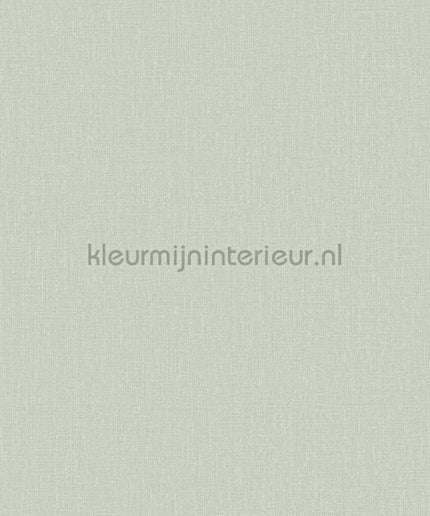 Hookedonwalls Neutralizer 01 31632 | Bestellen bij https://www.kleurmijninterieur.nl/