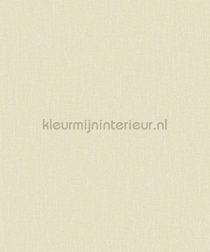 Hookedonwalls Neutralizer 01 31617 | Bestellen bij https://www.kleurmijninterieur.nl/