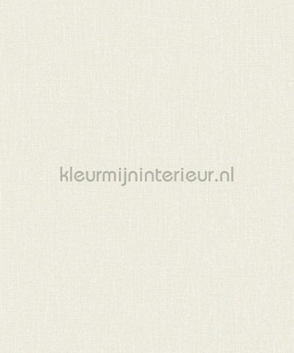 Hookedonwalls Neutralizer 01 31601 | Bestellen bij https://www.kleurmijninterieur.nl/