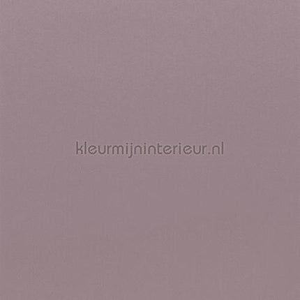 Bodaq Uni s206 | Bestellen bij https://www.kleurmijninterieur.nl/