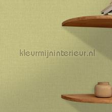 Caselio XXL XXL68527163 | Bestellen bij https://www.kleurmijninterieur.nl/