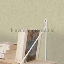 Caselio XXL XXL68527000 | Bestellen bij https://www.kleurmijninterieur.nl/
