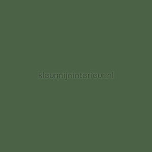 Caselio Young and Free YNF64527370 | Bestellen bij https://www.kleurmijninterieur.nl/