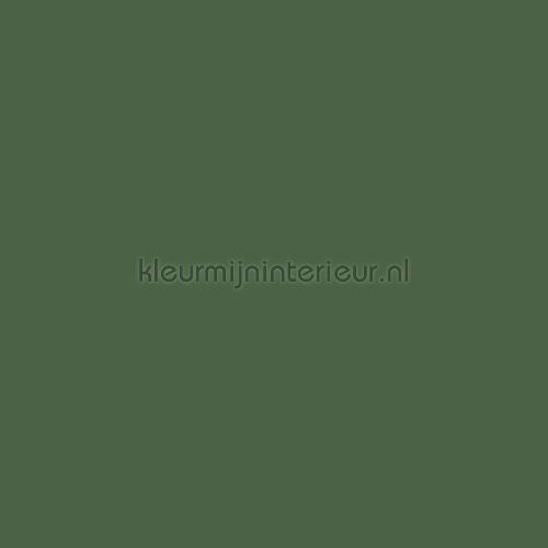 Caselio Young and Free YNF64527370 | Bestellen bij https://www.kleurmijninterieur.nl/