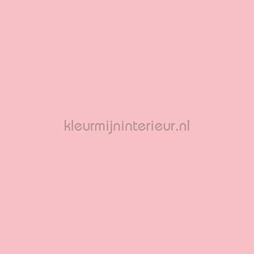 Benif Uni rs81 | Bestellen bij https://www.kleurmijninterieur.nl/