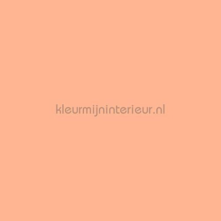 Bodaq Uni s213 | Bestellen bij https://www.kleurmijninterieur.nl/