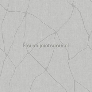 Hookedonwalls New Wave 24836 | Bestellen bij https://www.kleurmijninterieur.nl/