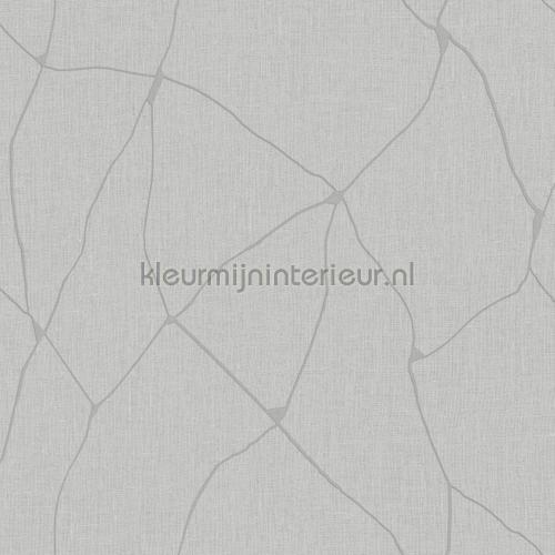 Hookedonwalls New Wave 24836 | Bestellen bij https://www.kleurmijninterieur.nl/